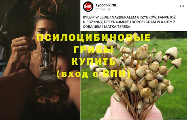 СК Осинники