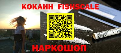 СК Кингисепп