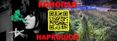 СК Кингисепп