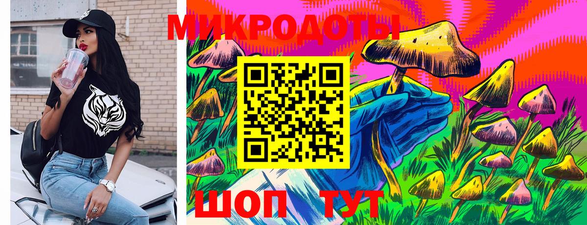 Псилоцибиновые грибы мицелий Краснодар
